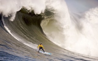 2018年魁地奇世界杯?2006年魁地奇世界杯?